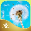 'Goodbye Anxiety, Goodbye Fear' official application icon