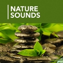 '1000 Nature Sleep Relax Sounds' official application icon