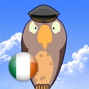 'Feather Squadron: Ireland' official application icon