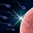 'Fertility Astrology' official application icon
