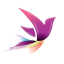 'Recovery Record for Clinicians' official application icon