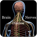 'Brain and Nerves Disease' official application icon